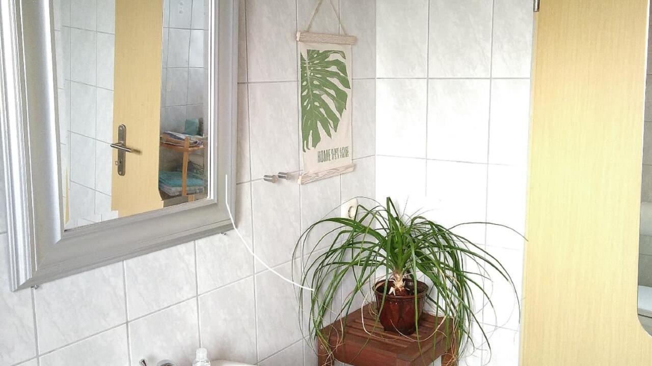Ferienwohnung Steinwald Auslaeufer Mit Blick Auf Koesseine Waldershof Luaran gambar